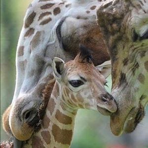 Meet your Posher, Jacqueline